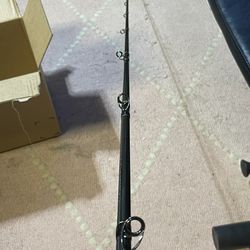 Fishing seasons here! Phenix Titan Jigging Rod