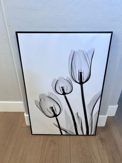36x24 Large Floating Framed Black and White Tulip Floral Canvas Artwork
