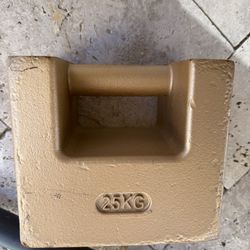 25 kg Dumbbell  (55.116 Lbs)