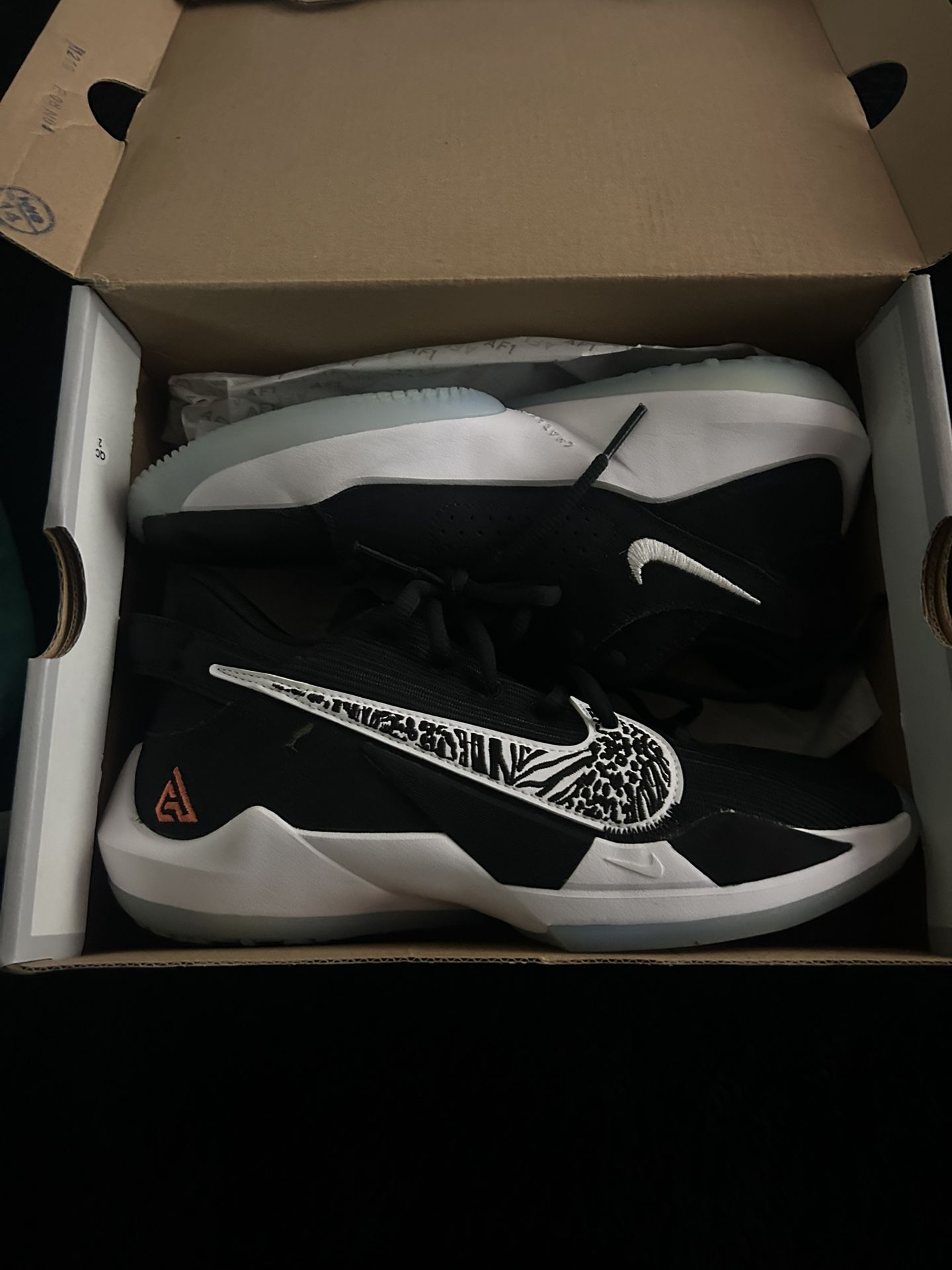 Basketball Shoes