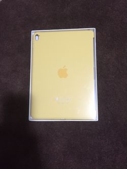 Apple iPad case