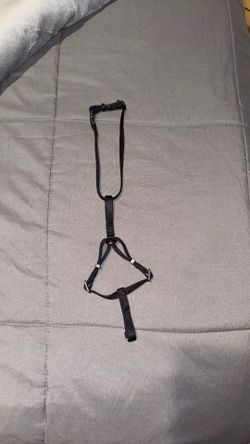 Cat harness