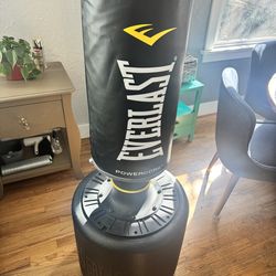 Everlast freestanding punching bag