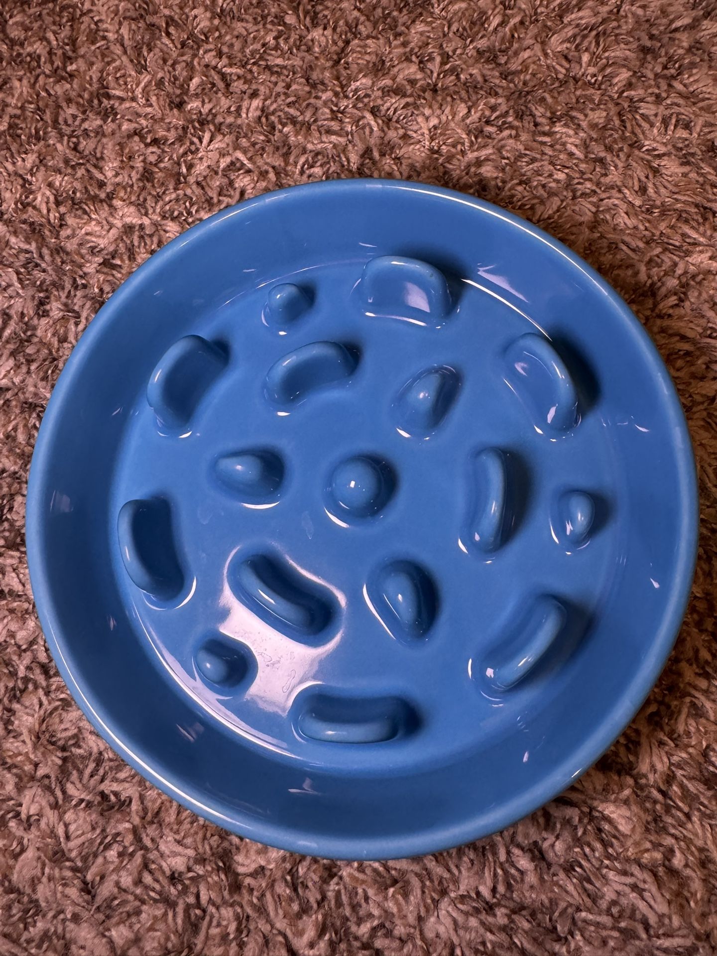 Ceramic Slow Feeder Dog Bowl