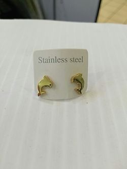 Stainless steel earings small