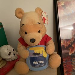 Winnie The Pooh Bear 