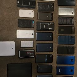 Cell Lot 