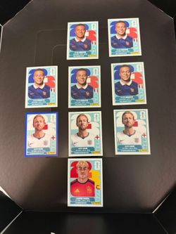 Panini world cup