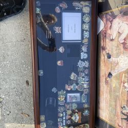 Pin and Bat Display Case With Pins