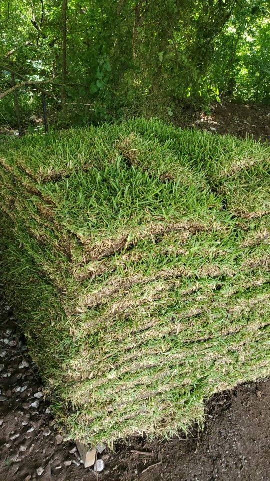 Grass Sod For Sale