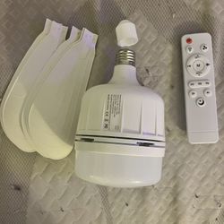 Lightbulb With Colors And Fan
