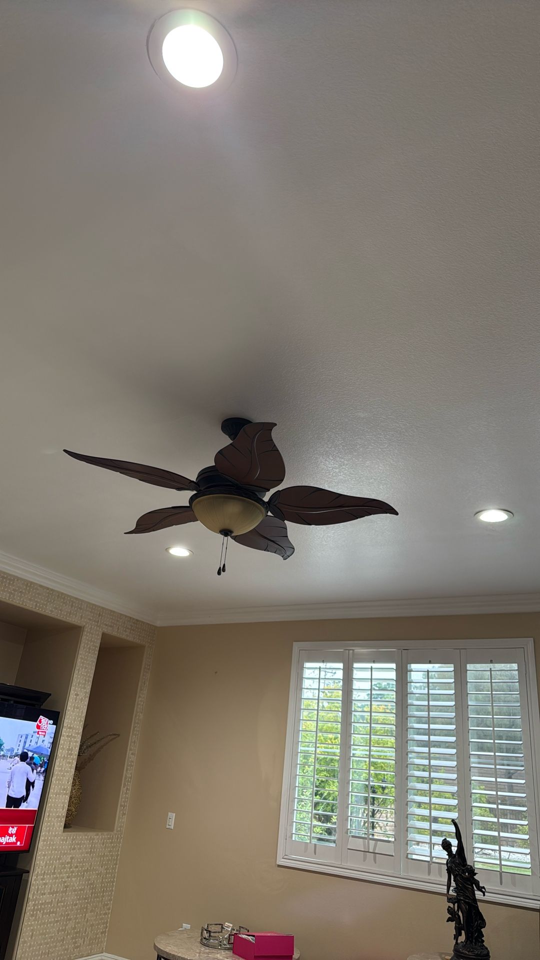 ceiling fan 