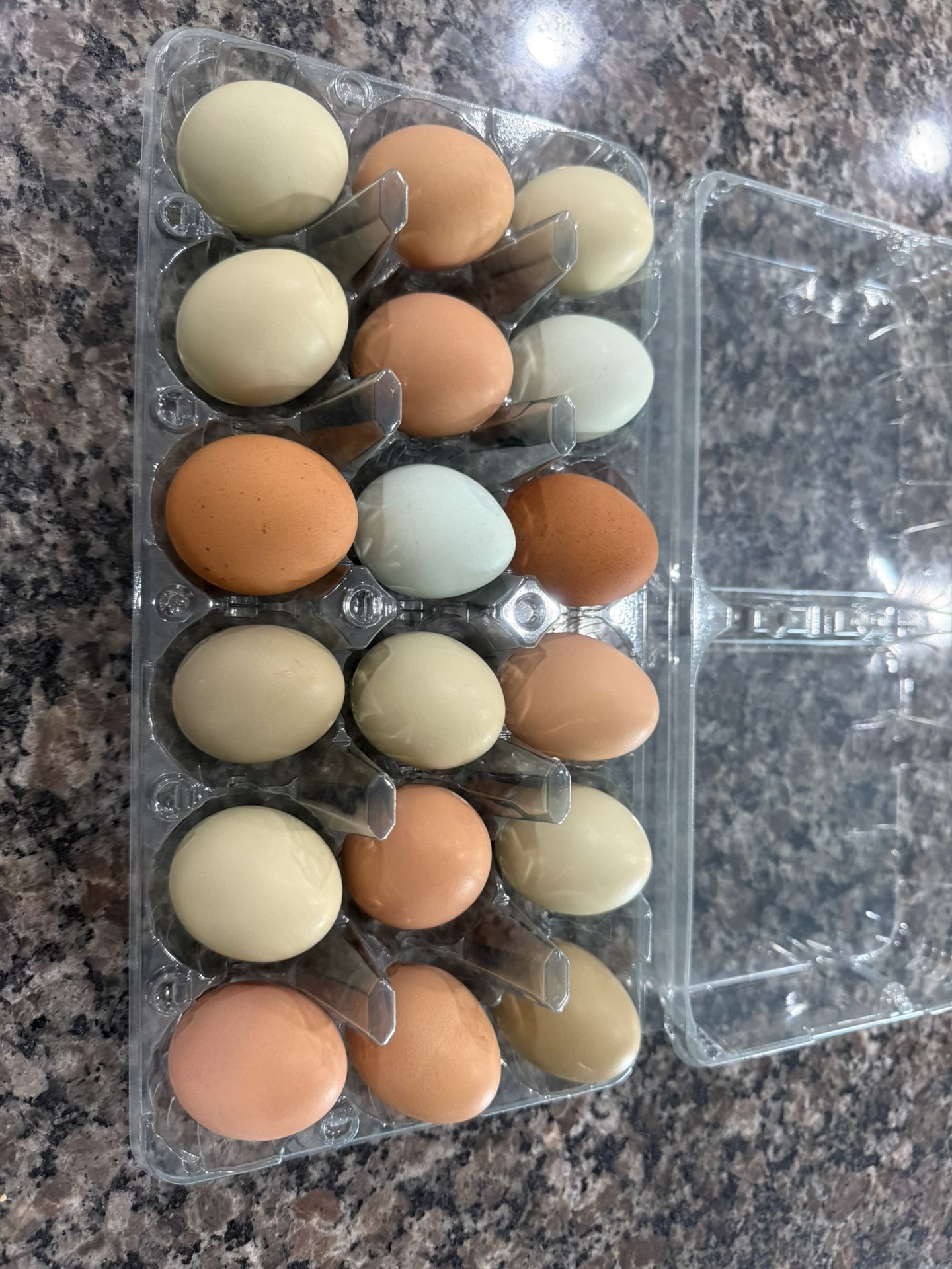 Free Range Farm Fresh Eggs 