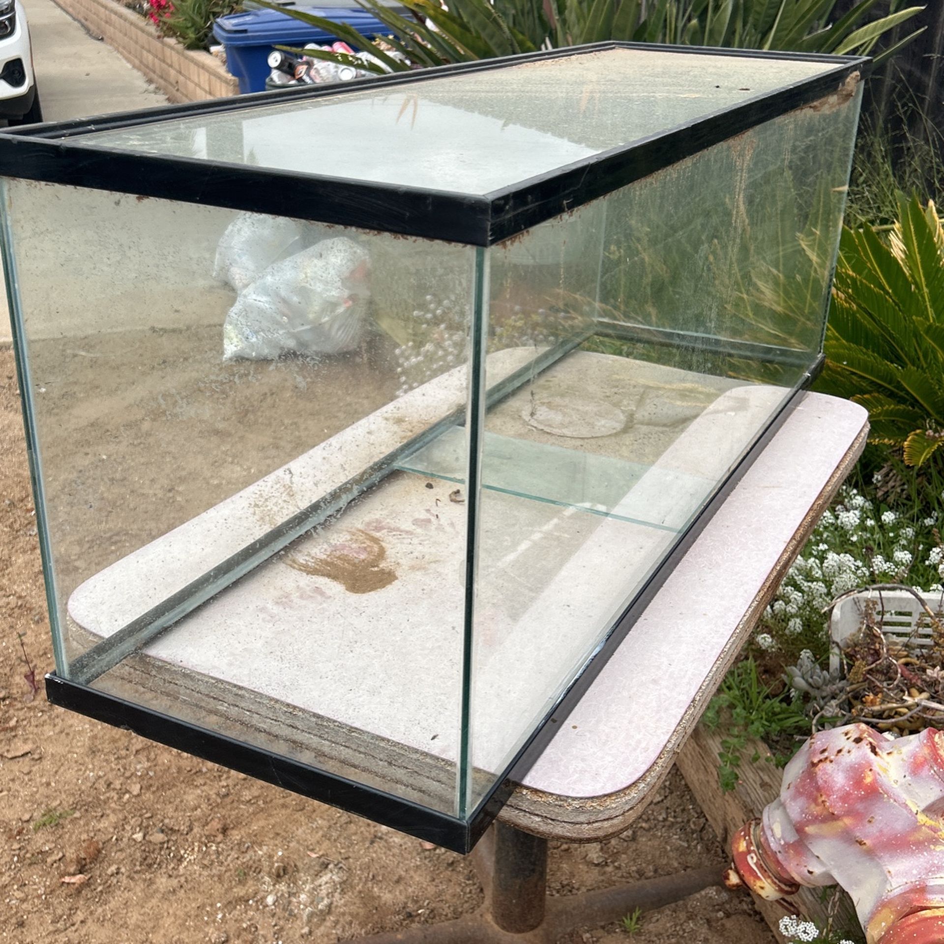 Large Glass Aquarium