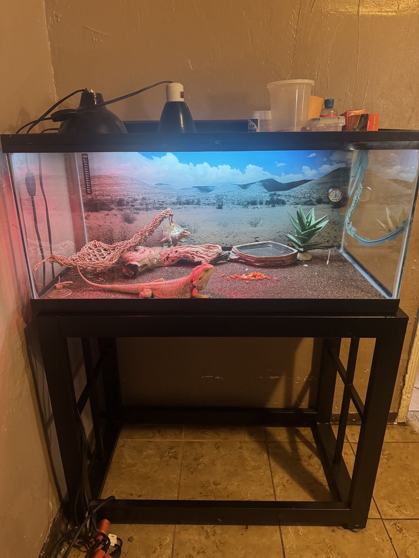 Aquarium tank and stand
