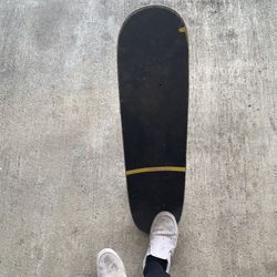 Santa Cruz Skateboard