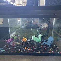 Fish Tank YES ITS AVAILABLE, WHEN WOULD YOU LIKE TO PICK UP?