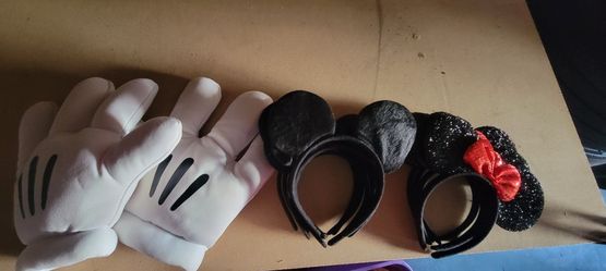 Mickey and Mini Ears And Gloves