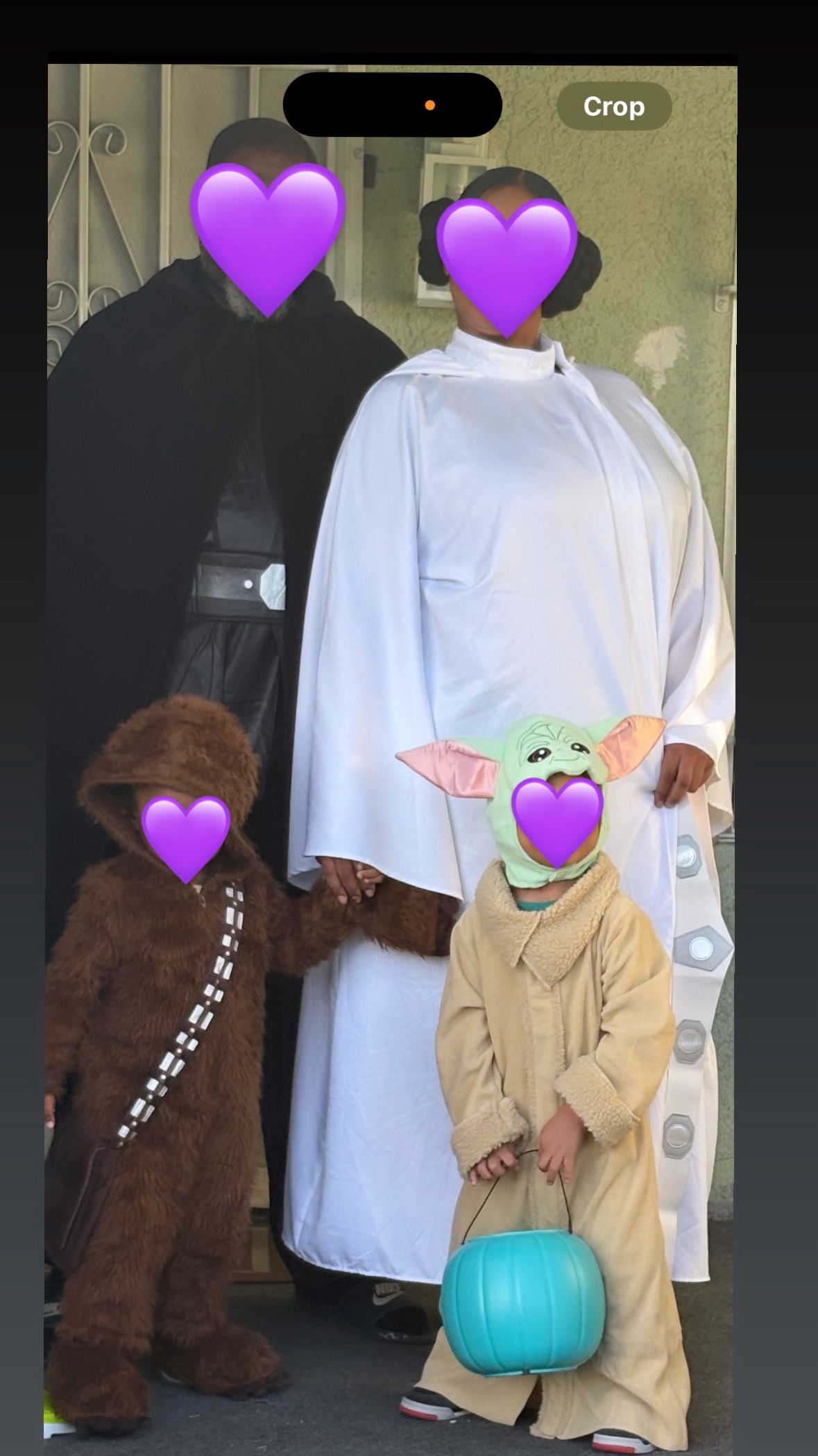 Star Wars Family Costumes