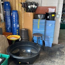 Plant Pots / Assorted Colors And Sizes 