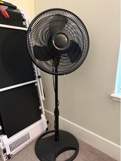 Lasso Oscillating Stand Fan