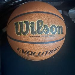Wilson Evolution Basketball