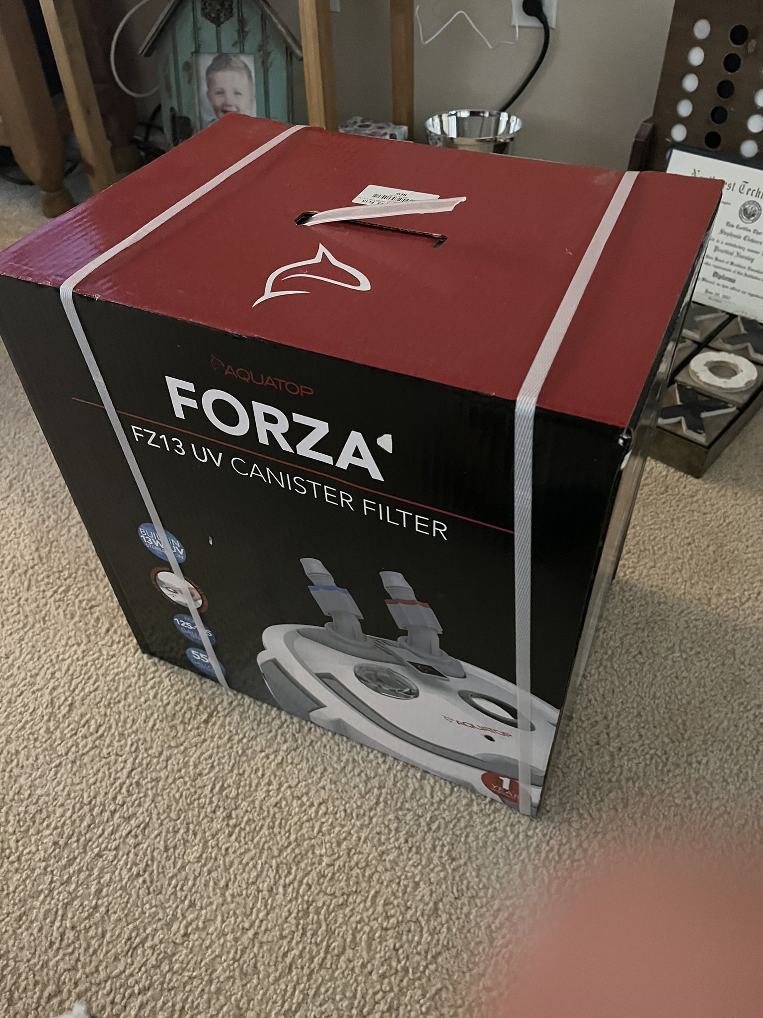Forza FZ13 UV Canister Filter