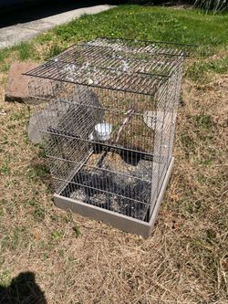 Parrot Cage - Free!