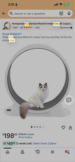 Large cat wheel