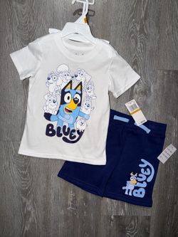 Bluey set for boys size 3t