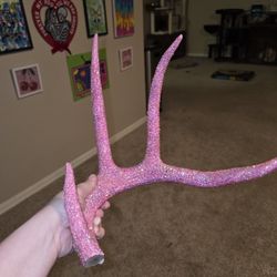 Bedazzled Antler