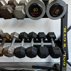 Gym Equipment