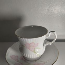 BONE CHINA ENGLAND PORCELAIN TEA CUP SET 