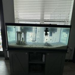 Aquarium 75 Gallons 