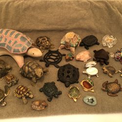 Turtle/tortoise Collection 