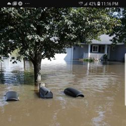 Flood restoration and water removal