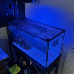 20 Gallon Innovative Marine 