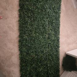 Grass Wall Panels 