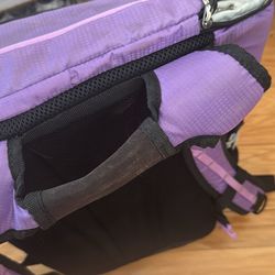 Backpack Cooler 2of Them To Sell
