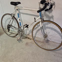 Raleigh Grand Sports 10 speed bicycle