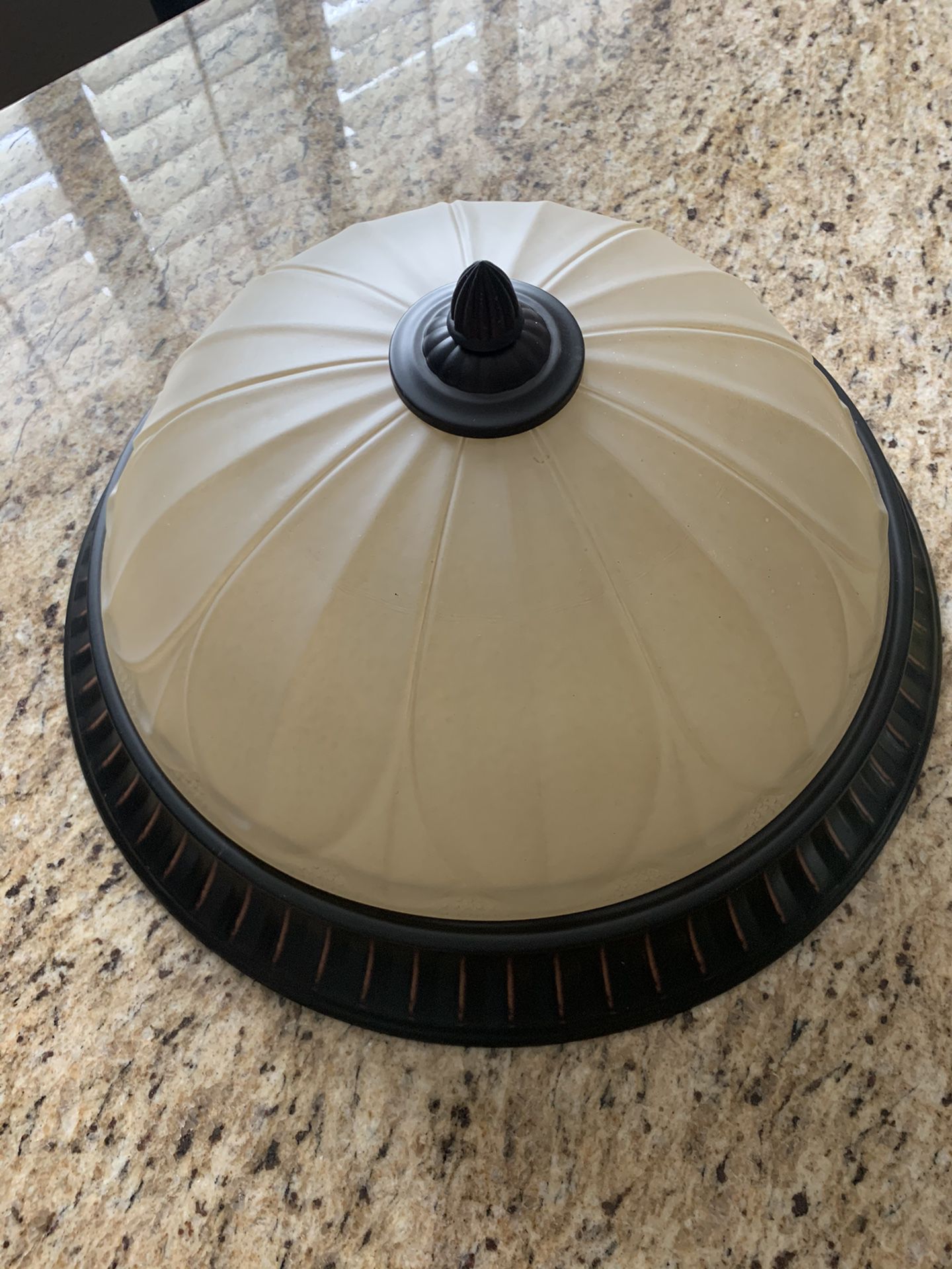 Beautiful Frosted Glass Ceiling Light Fixture