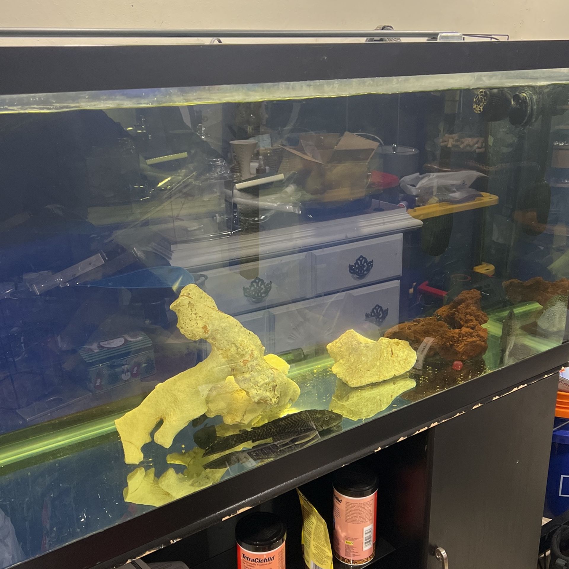 Free125 Gallon Fish Tank