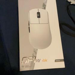 Endgame Gear Op1w 4k Wireless Mouse