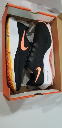 Nike Pegasus New In Box Size 12
