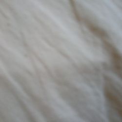 Trading Fir Book SHELVES