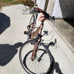 Liv Bike 