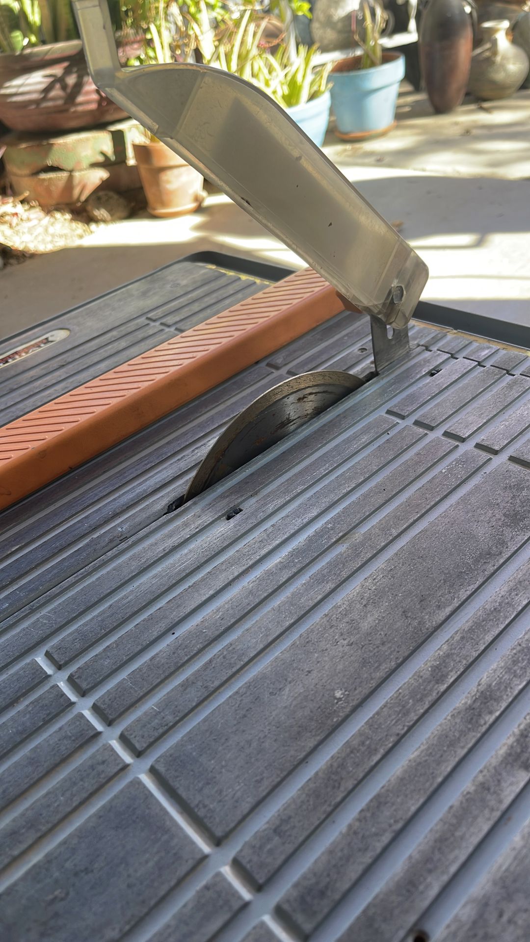 Wet Tile cutter for $20