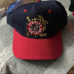 Vintage Florida Panthers (Annco)