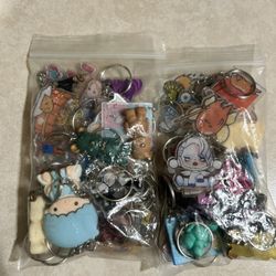 Bag Of Random Keychains (both Bags) 