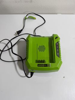 Greenworks Rapid 80 -Volt, Battery Charger
